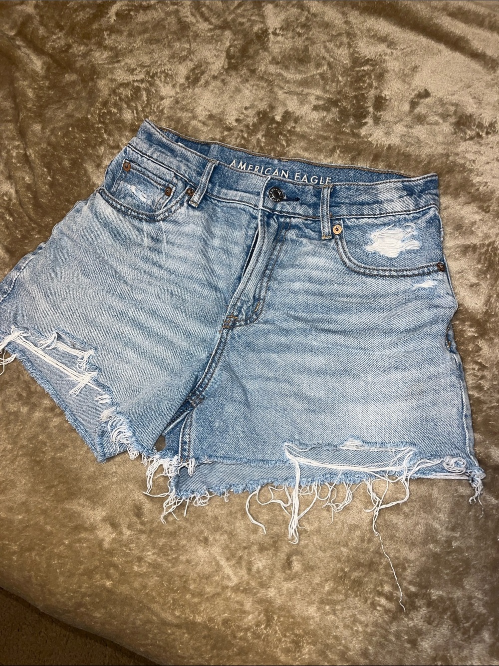 American Eagle Outfitters Light Blue Distressed Jean Shorts